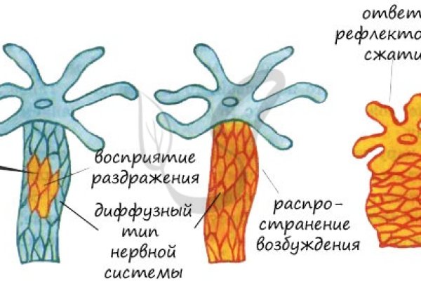 Кракен сообщество