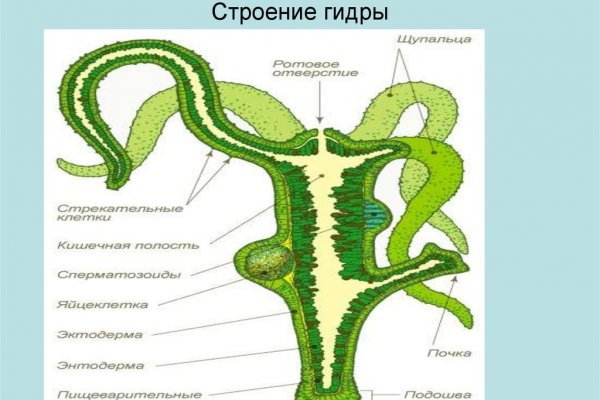 Kraken ссылка зеркало рабочее