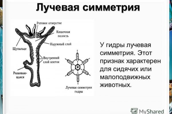 Кракен в обход